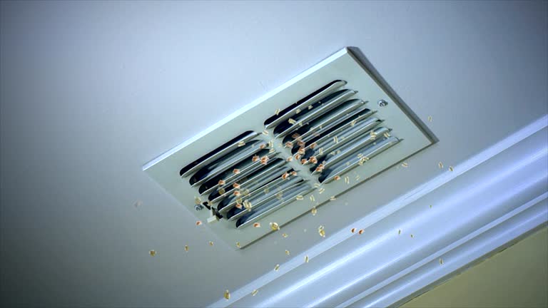 Best Air Duct Cleaning Near Me  in Hamburg, NJ